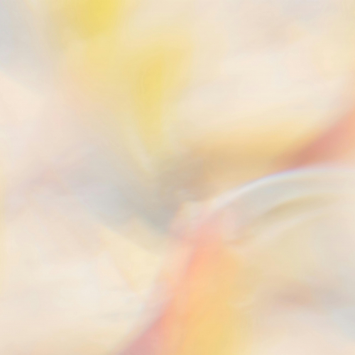 © Puchistides / Pexels